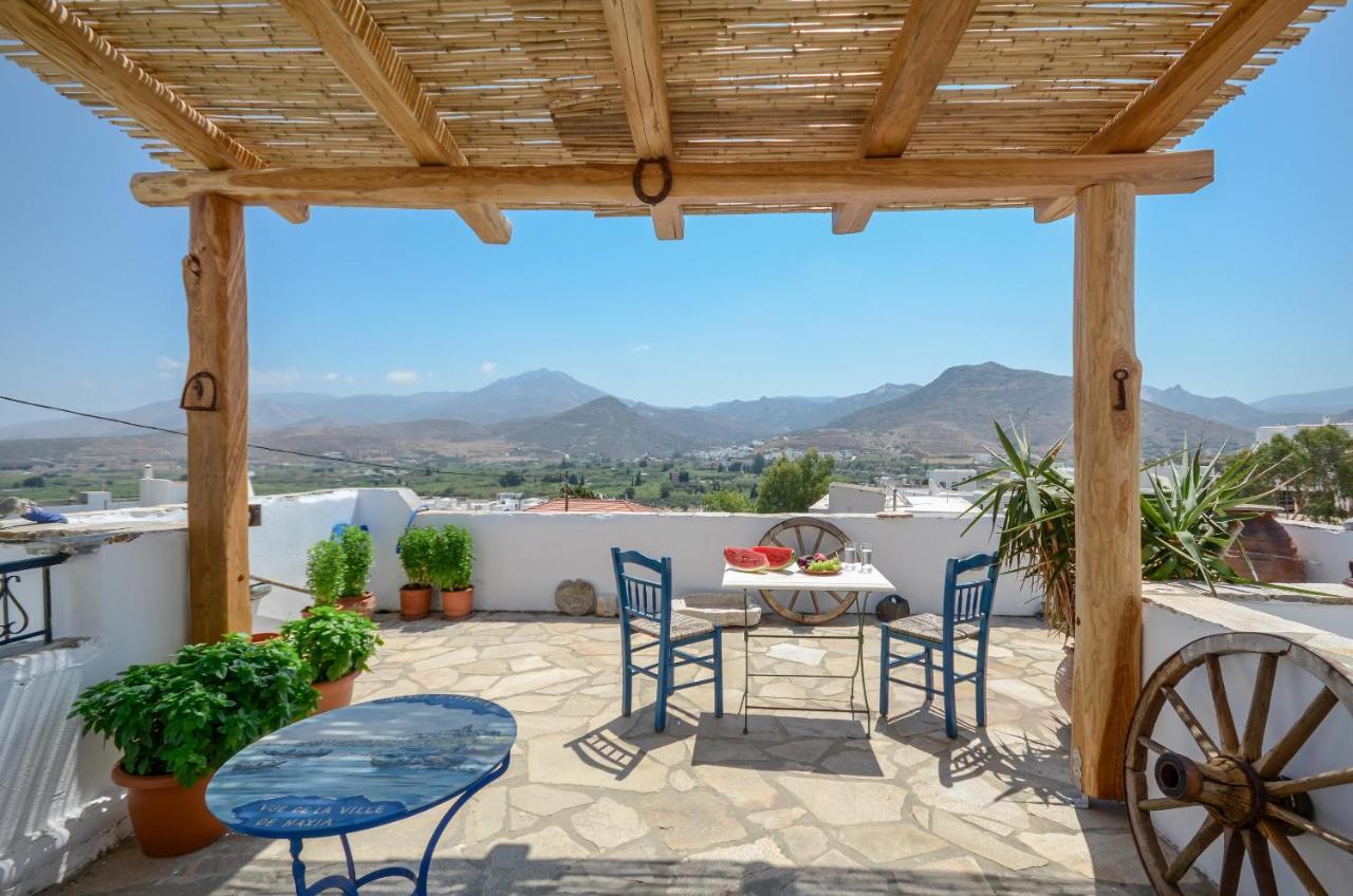 Naxos Filoxenia Hotel Γαλήνη Εξωτερικό φωτογραφία