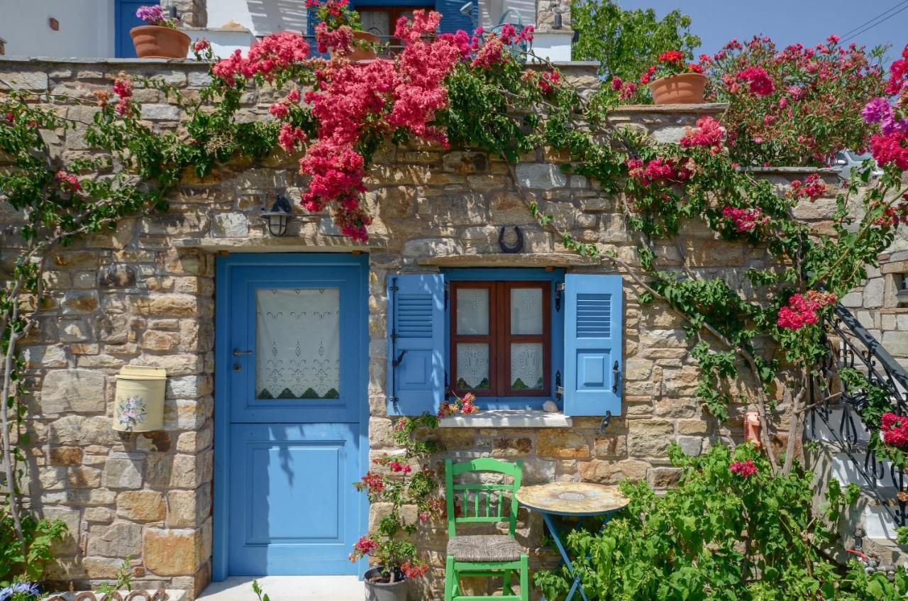 Naxos Filoxenia Hotel Γαλήνη Εξωτερικό φωτογραφία