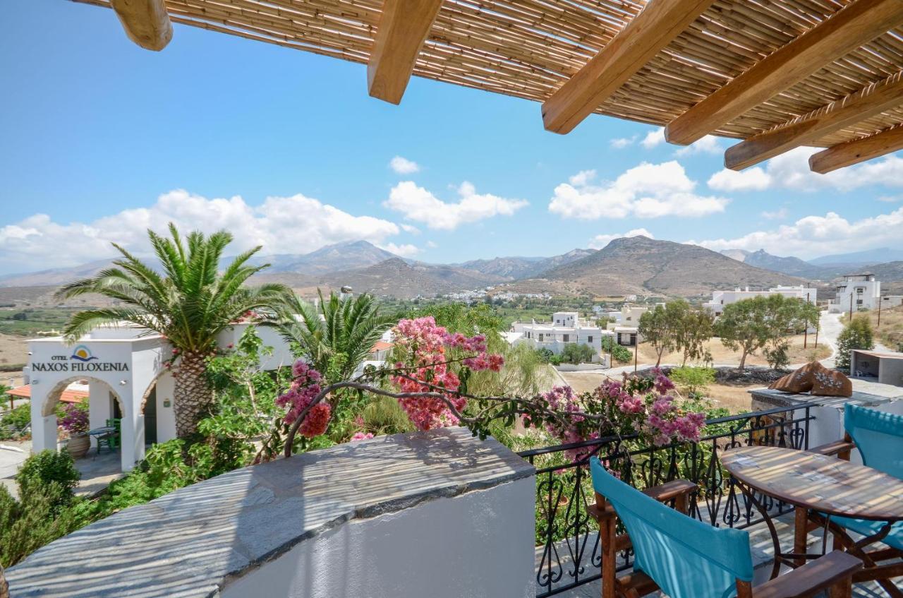 Naxos Filoxenia Hotel Γαλήνη Εξωτερικό φωτογραφία