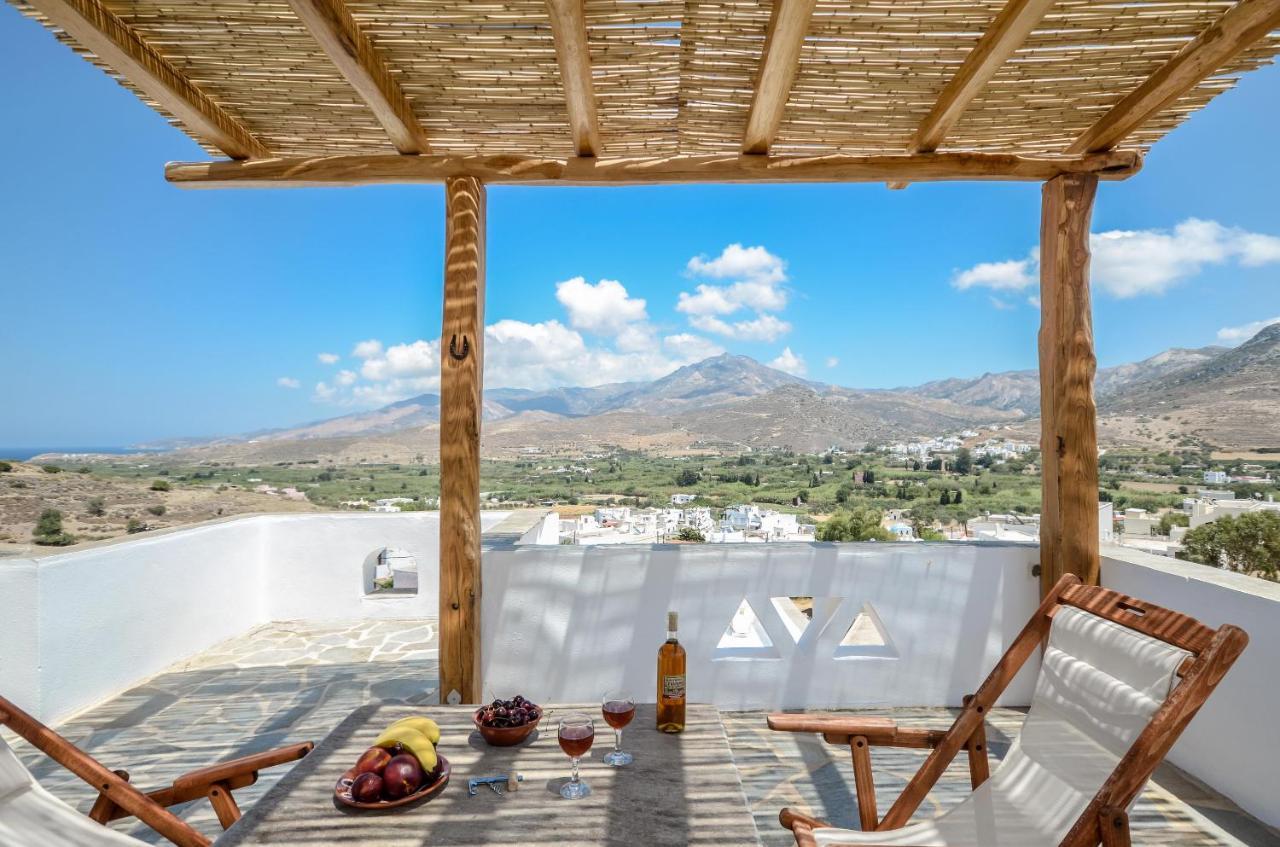 Naxos Filoxenia Hotel Γαλήνη Εξωτερικό φωτογραφία