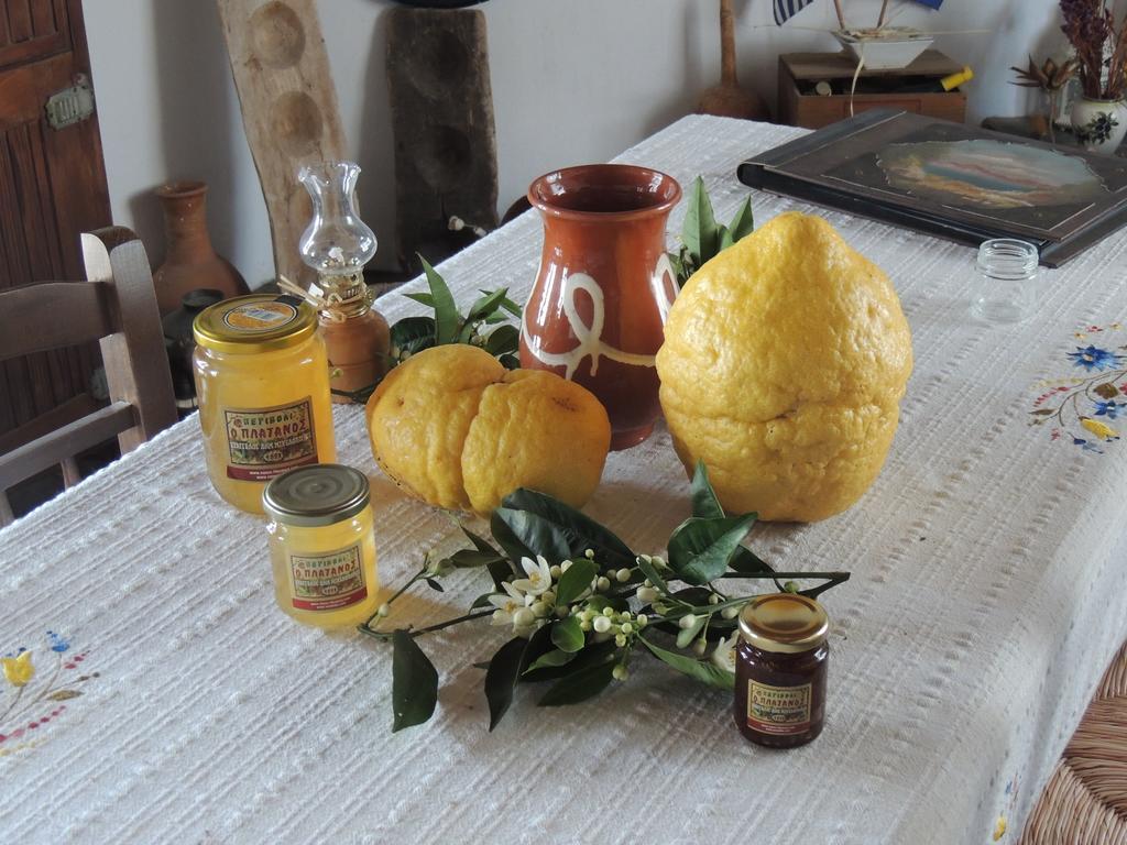 Naxos Filoxenia Hotel Γαλήνη Εξωτερικό φωτογραφία