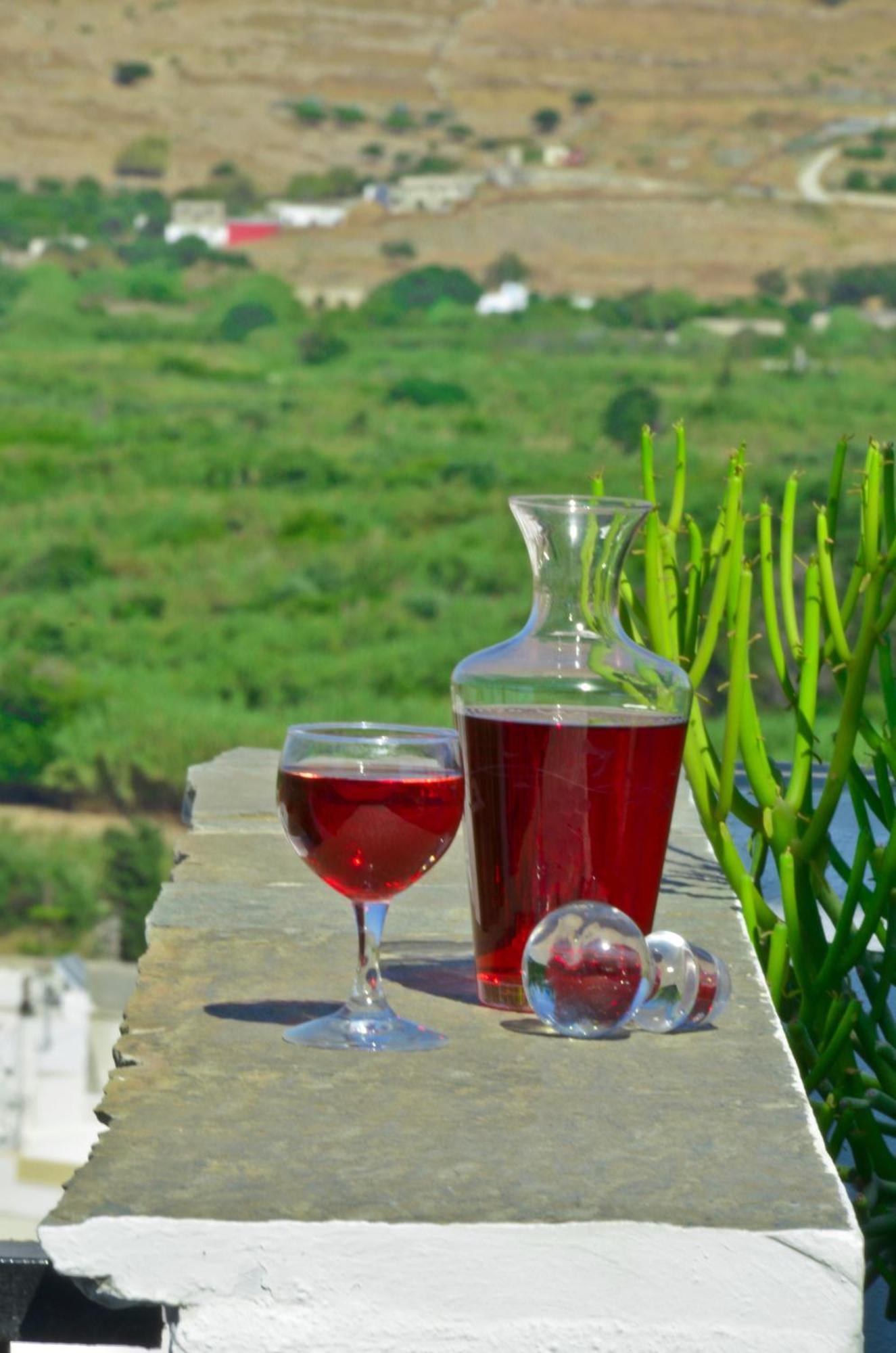 Naxos Filoxenia Hotel Γαλήνη Εξωτερικό φωτογραφία