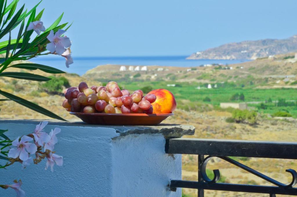 Naxos Filoxenia Hotel Γαλήνη Εξωτερικό φωτογραφία